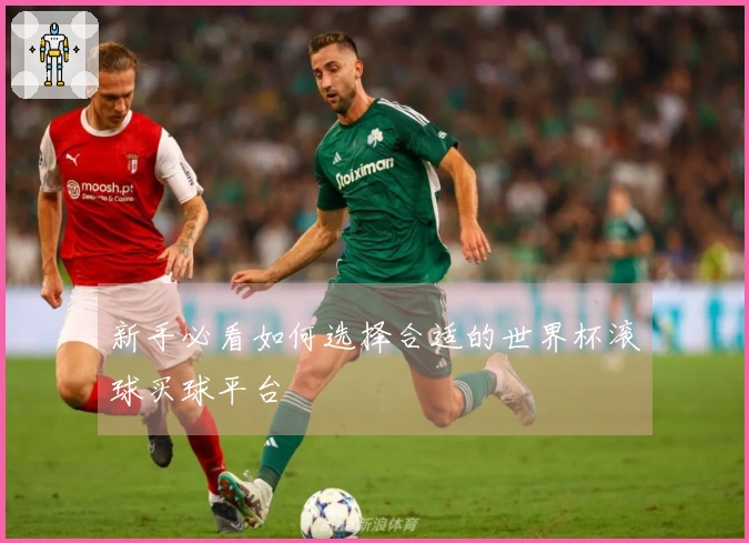 新手必看如何选择合适的世界杯滚球买球平台
