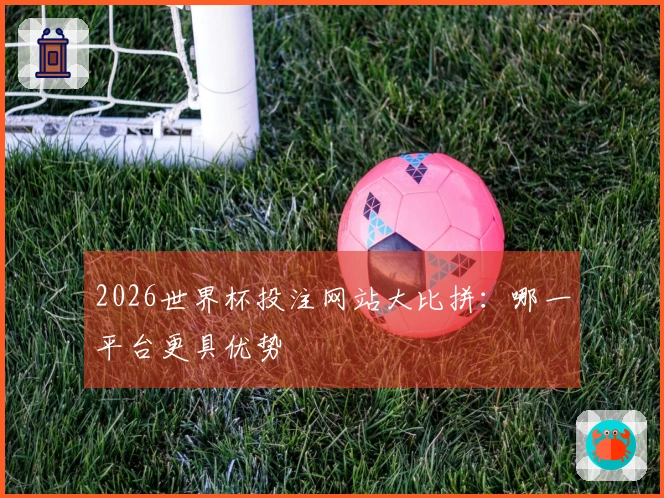 2026世界杯投注网站大比拼：哪一平台更具优势