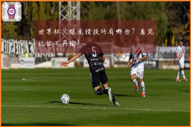 世界杯买球竞猜技巧有哪些？看完让你不再输！