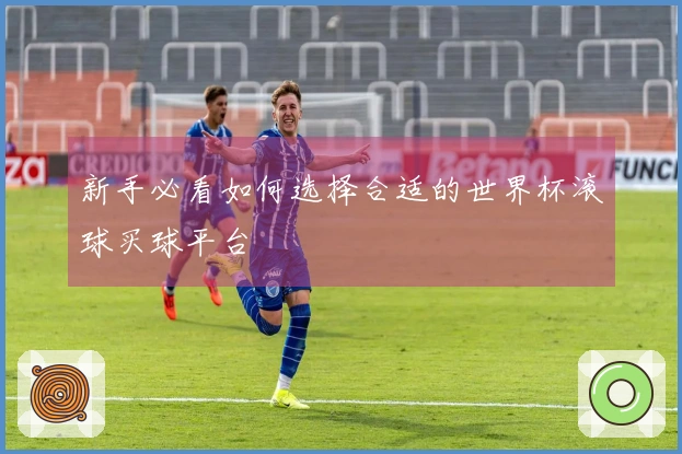 新手必看如何选择合适的世界杯滚球买球平台